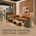 Espaces de coworking modernes à Istanbul, favorisant la créativité et la collaboration.