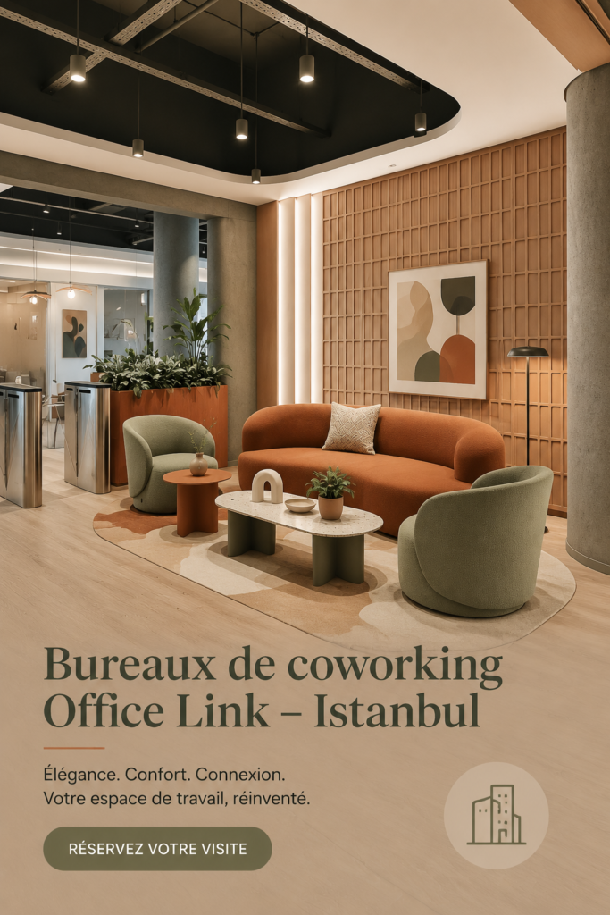 Espaces de coworking modernes à Istanbul, favorisant la créativité et la collaboration.