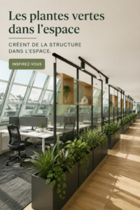Un intérieur lumineux avec des plantes vertes créant une ambiance accueillante et structurée.